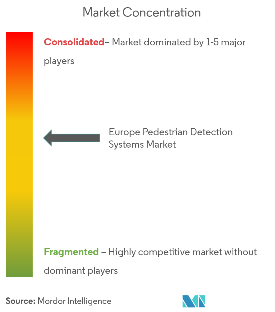 Europe Pedestrian Detection Systems Market Concentration